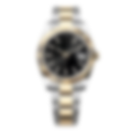 Coons Black Two-Tone