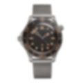 Coons Black Mesh