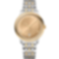 Coons Champagne Two-Tone