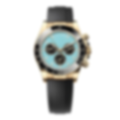 Coons Turquoise Gold