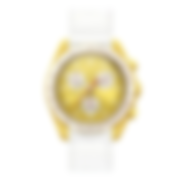 Coons Yellow White