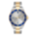 Coons Silver Two-Tone