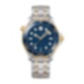 Coons Blue Two-Tone